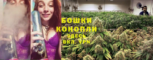 Альфа ПВП Лиски