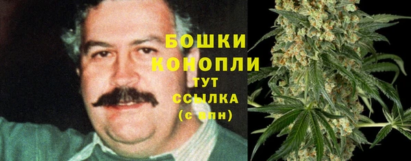 Альфа ПВП Лиски