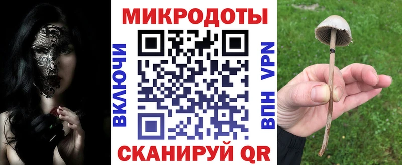 блэк спрут зеркало  Королёв  Псилоцибиновые грибы Cubensis 