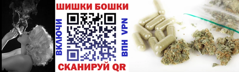 как найти закладки Королёв Бошки марихуана THC 21%